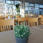 Xzllenz Light, Parken, 24h Digitaler Check In Und Zugang Hotel Oberasbach